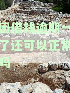 美团借钱逾期还款后能否继续使用：安全措与再次借款指南