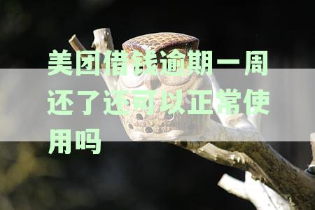 美团借钱逾期一星期后还款，是否还能再次借款？还有其他解决方案吗？