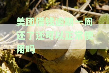 美团借钱逾期1天还款后，是否影响征信？如何处理？