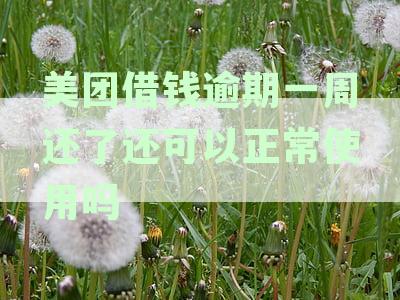 美团借钱逾期一周还了还可以正常使用吗