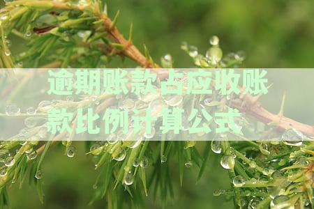 计算逾期账款在应收账款中的比例：当年停息与分期的影响