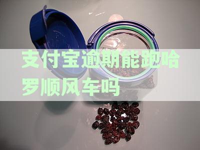 支付宝逾期能跑哈罗顺风车吗安全吗？