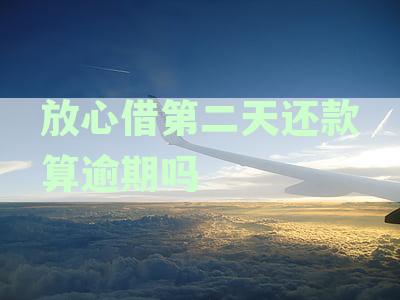 逾期一年的借款处理心得：我的亲身经历与建议