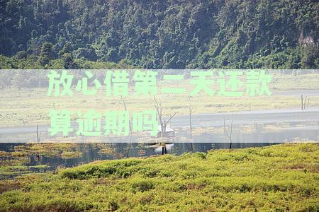 放心借还款一天：原因、影响与解决方案全面解析