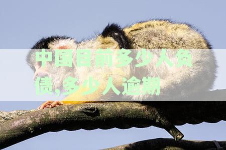 全国负债率上升：中国逾期人数激增的现状探析
