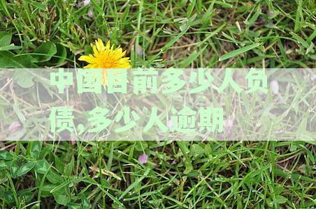 '中国负债逾期人数统计：包括逾期、坐牢及超一年和2024情况'