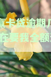 小赢卡贷逾期还款，全额还款压力大？解决方案和建议！
