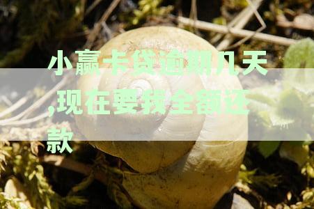 小赢卡贷逾期几天全额还款真实性如何？