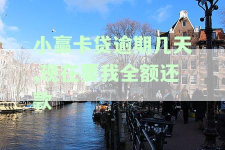 小赢卡贷逾期几天后被要求全额还款的解决办法