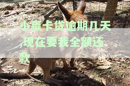 '小赢卡贷逾期几天上征信：后果及处理方式全解析'