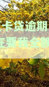 小赢卡贷逾期几天,现在要我全额还款