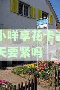 羊小咩享花卡逾期一天的还款压力与应对策略