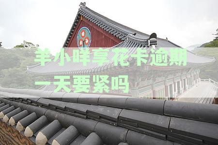 逾期一天的羊小咩享花卡是否还能使用？停息和天会相关吗？