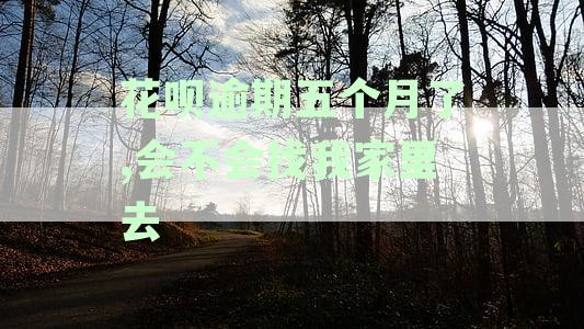 花呗逾期五个月的后果及可能会面临的法律诉讼问题