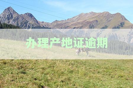 新产地证补办时间及超时规定一览：原产地与出货相关吗？