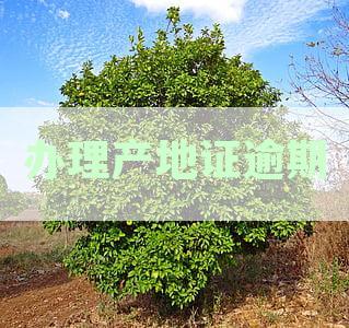 产地证办理时间指南：从申请到领取的全流程解析