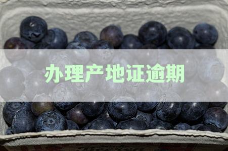 '产地证时间问题：后发证书时间限制解析与解决'