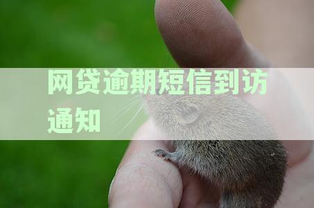网贷逾期短信到访通知怎么办：解决步骤和应对策略