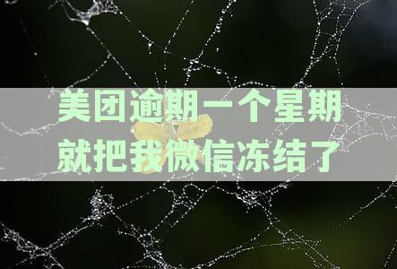 美团逾期未还款可能会影响微信和支付宝账户的正常使用吗？