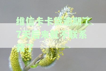 维信卡卡贷逾期几天：了解逾期影响、处理方式及宽限期详细信息
