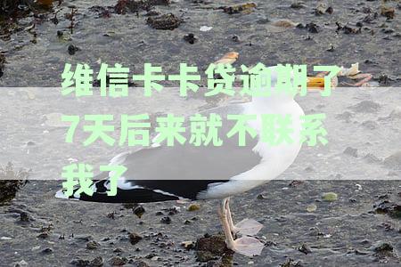 维信卡卡贷逾期三天忘记还，会爆通讯录吗？如何处理？