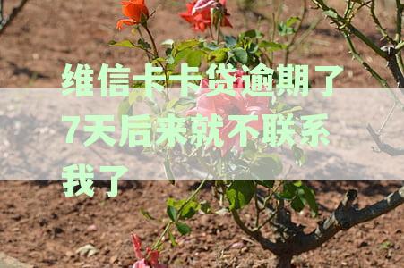 维信卡卡贷逾期一天是否会影响个人征信记录及贷款申请？