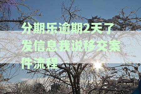 分期乐逾期发短信说按流程走会怎样：收到逾期通知，承担所有费用？