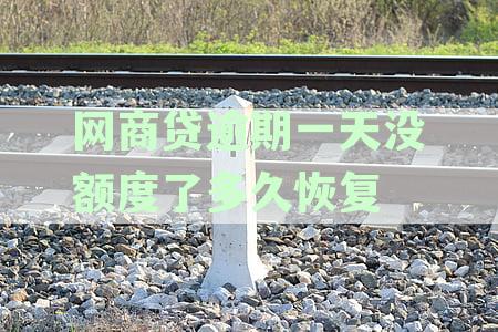 网商贷逾期一天后额度恢复征信时间及影响全面解析：如何避免信用受损？