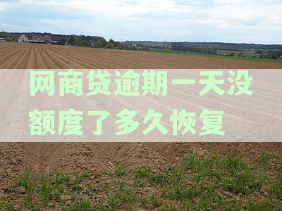 新'网商贷逾期一天后额度恢复攻略，避免影响信用评分！'