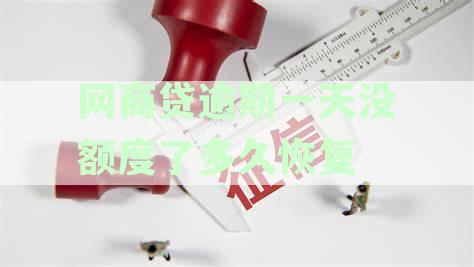'网商贷逾期一天后还款，是否还能再次借款？安全吗？如何处理？'