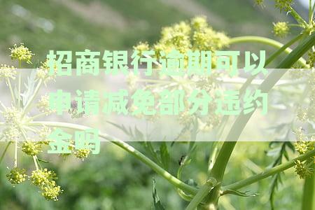 招商银行信用卡逾期后，如何申请减免部分违约金并与银行协商信用修复方案