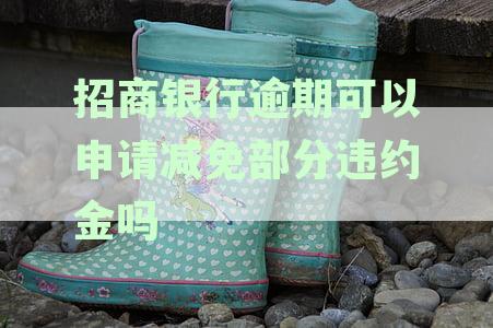 招商银行逾期违约金协商攻略：信用卡逾期后如何追回损失？
