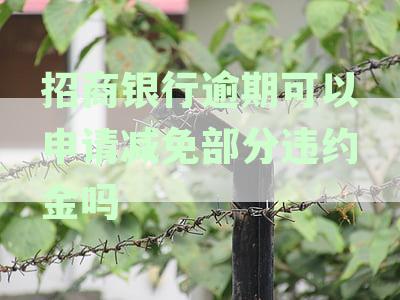招行逾期违约金减免电话沟通策略及成功率分析，全面解答用户疑问
