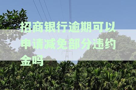 招商逾期一年可以协商减免吗？如何处理？