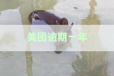 美团逾期1年9000多元：会否起诉我？过去这一年的情况如何？