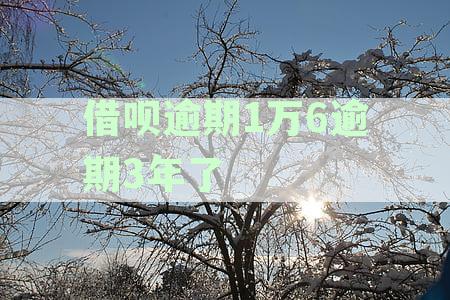 逾期一年半的3万多借呗：如何处理与科普