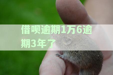 四年逾期1万借呗，我应该如何解决这个问题？