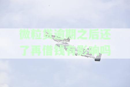微粒贷逾期还款后再次借款是否会受影响？探讨能否再次贷款的问题