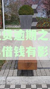 微粒贷逾期后还款，是否可以继续正常使用？