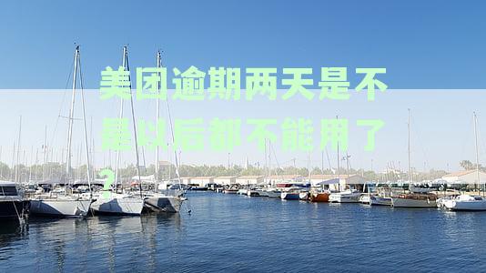 美团逾期两天是否禁用：解答与影响