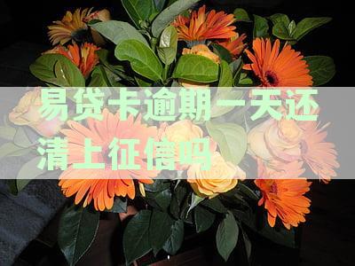 逾期多久会影响个人信用记录？征信上的逾期记录会在多长时间内消失？