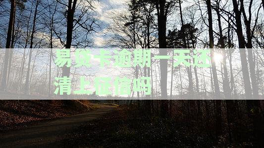 易贷卡逾期一天还清是否会影响征信？逾期后如何处理以避免信用受损？