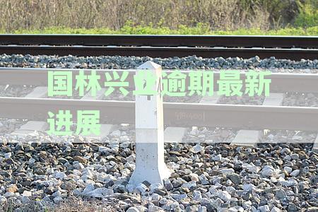 国林兴业——青岛信息服务领域的越管理咨询