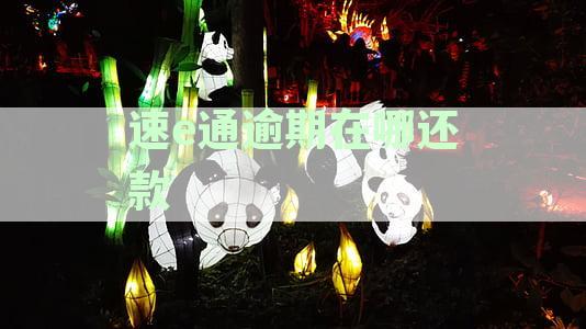 速e通逾期在哪还款