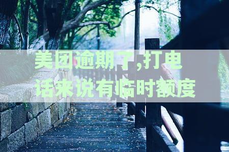 美团逾期后提供临时额度？我们来详细解答这个疑问并探讨可能的解决方案