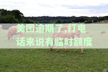 美团逾期后收到临时额度通知，应如何处理？
