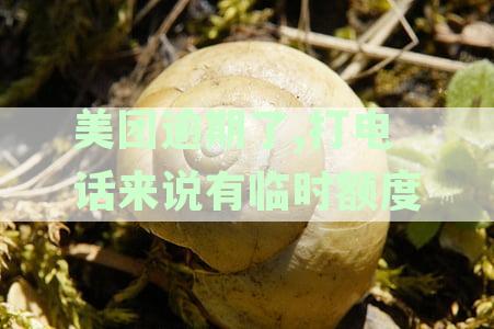 美团逾期后还款，如何获得临时额度及相关解答