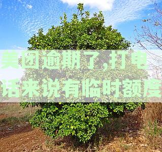 美团逾期说给临时额度：真的吗？如何办理？