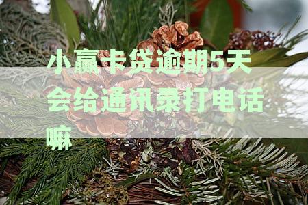 小赢卡贷逾期5天会给通讯录打电话嘛