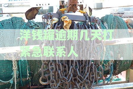 洋钱罐逾期多久会上门：逾期处理流程全面解析